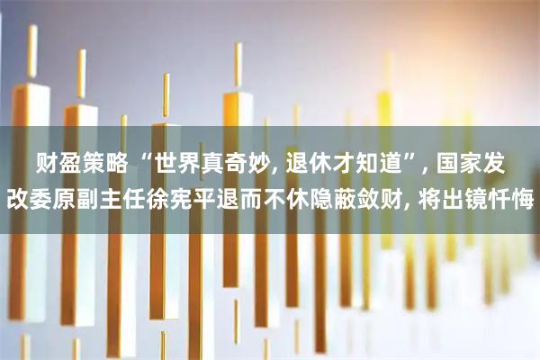 财盈策略 “世界真奇妙, 退休才知道”, 国家发改委原副主任徐宪平退而不休隐蔽敛财, 将出镜忏悔